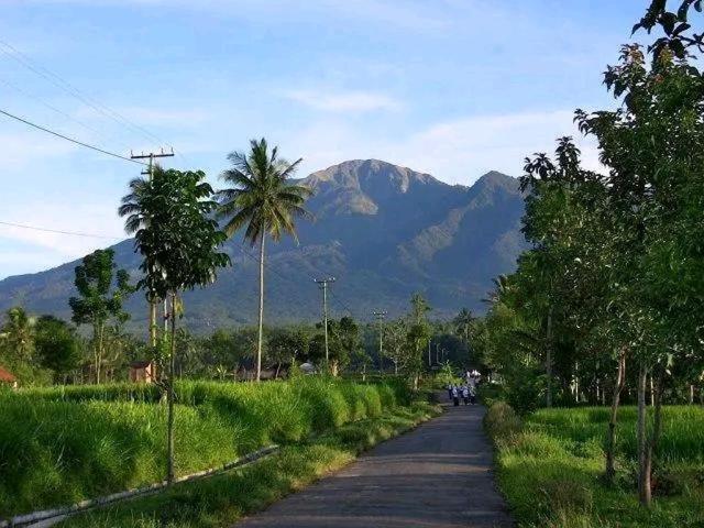 Banana Bungalows テテバトゥ エクステリア 写真