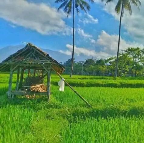 Banana Bungalows テテバトゥ エクステリア 写真
