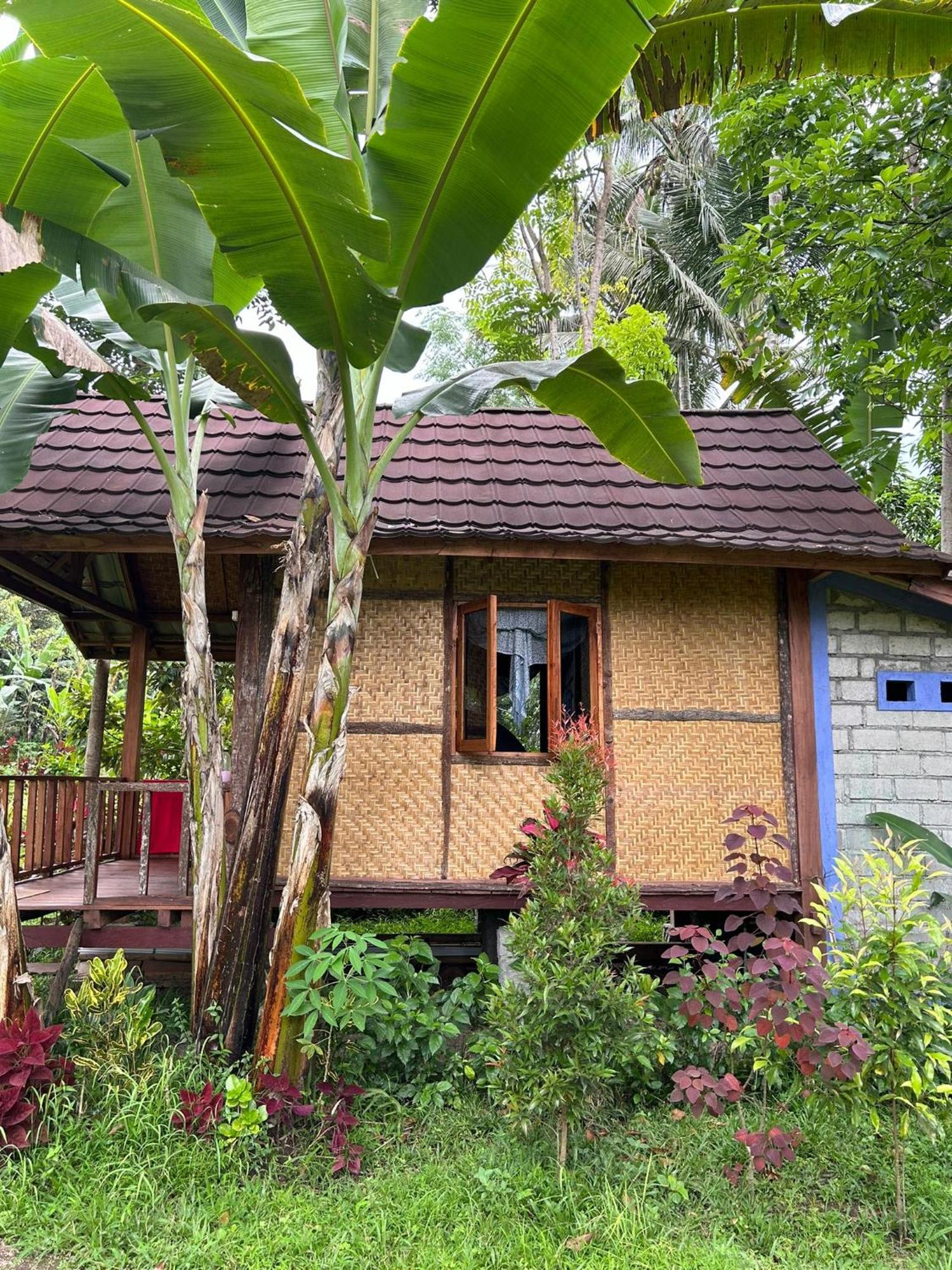 Banana Bungalows テテバトゥ 部屋 写真
